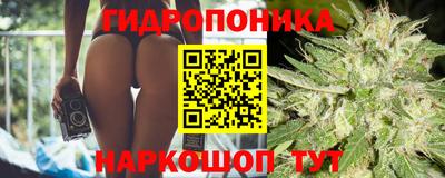 стафф Аша