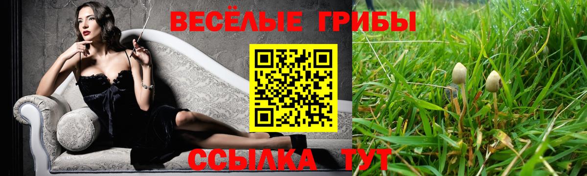 Кудымкар  Псилоцибиновые грибы Psilocybine cubensis  Псилоцибиновые грибы Psilocybe  Вход с VPN 