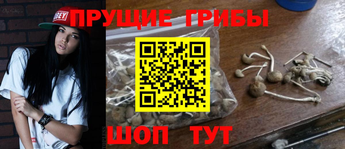 Псилоцибиновые грибы Magic Shrooms Кудымкар